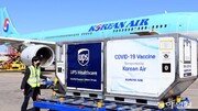 “반가운 손님 오셨네!”…인천공항 도착한 화이자 백신[퇴근길 한 컷]