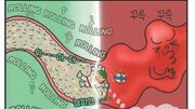 [만화 그리는 의사들]〈171〉과민성대장증후군과 프로바이오틱스