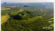 과거의 쓸모없는 땅에서 ‘생태계의 보고’로 새롭게 조명
