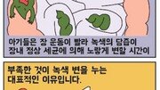 [만화 그리는 의사들]〈184〉황금똥이 아니어도 괜찮아