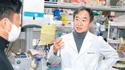 [이진구 기자의 對話]“돼지 췌도이식 임상 성공하면… 당뇨병 근본 치료 가능해”