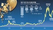 ‘코인은 디지털 金’ 기대 산산조각… 거품 빠지며 옥석 가리기[인사이드＆인사이트]