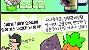 [만화 그리는 의사들]〈260〉지중해식 식단