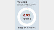 가입률 1% 펫보험… ‘깜깜이 진료’ 손보고 보장 한도 높여야 [인사이드&인사이트]