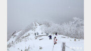 하얗게 부서지는 가루눈(粉雪)과 무빙(霧氷), 홋카이도의 겨울 풍경[전승훈 기자의 아트로드]