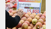 한국 물가는 얼마나 ‘끈적끈적’할까?[세종팀의 정책워치]