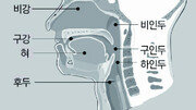 [전문의 칼럼] 장애 유발하는 두경부암, 조기 발견하면 완치 가능