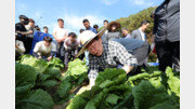 이재명, 재보선 끝나자마자 배추현장 찾아…‘대권행보’ 본격화