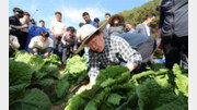 호남 지킨 이재명, 재보선 다음날 배추농가 찾아 ‘먹사니즘 행보’