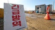 전북 김제 산란계 농장 고병원성 AI 확진…올겨울 30번째