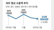 반도체 수출 16개월만에 마이너스로… 美 관세 前부터 비상등