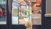 [고양이 눈]무한한 애정