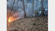 [속보]경북 의성 산불 주불진화…“야간 잔불 정리”