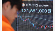 “코인 급락에도 꾸준히 모으자”…거래소 ‘적립식 투자’ 인기