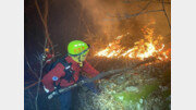 야간 산불 피해 면적 118배 증가 까닭은?…‘고온 건조 유지’ 탓