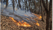 금산 백마산서 진화된 산불 또 재발화…‘담배꽁초 원인’