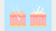 “콜라겐, 피부 탄력 개선 효과 있다…단, 주름은 못 막아”[건강팩트체크]