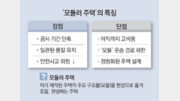 ‘블록 쌓기’ 모듈러 주택… “2030년 1.7조 시장”[부동산 빨간펜]
