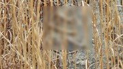 여객기 참사 유가족 “공항 담벼락 외곽서 유해 추정 다수 발견”
