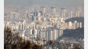 [사설]20% 넘게 오른 강남 3구-한강 벨트 공시가… ‘징벌稅’까진 안 가야