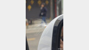 [고양이 눈]홀씨의 종착지