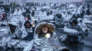 [김순덕의 도발]대한민국엔 야수들이 산다…정서불안 햄찌도 함께