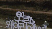 [고양이 눈]나를 사랑하는 하루
