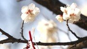 [고양이 눈]색의 조화
