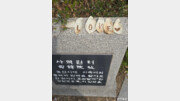 [고양이 눈]사랑도 통역이 되나요?