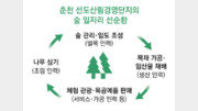 목재 가공-재배-관광… 산림경영 사업 13년 “숲이 평생 직장으로”