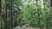 월정사의 봄, 비천상 여인과 함께 ‘달을 쓿다’ [전승훈 기자의 아트로드]