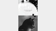 [책의 향기/밑줄 긋기]아무튼, 새벽