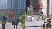 얼굴 기억하고 공격하는 까마귀…“시선 피하라” 정부도 당부