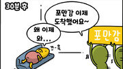  [만화 그리는 의사들]〈409〉속도를 맞춰요