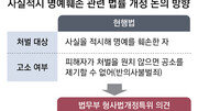 [단독]‘사실적시 명예훼손’ 처벌대상 축소 추진 “표현의 자유 위축 방지”