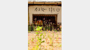 [고양이 눈]뜻밖의 응원