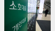 [단독]기업 대출도 양극화… 대기업 10년만에 최고, 中企 3년째 줄어