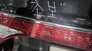 [고양이 눈]“이 정도면 양보해준다”