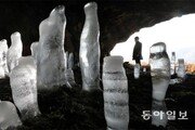 [포토 에세이]얼음 기둥 전시회