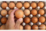 계란 생산·유통 정보 한눈에…껍데기 10자리 이력번호 일원화