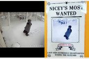 폭설 뚫고 찾아간 식당 문 닫자…눈밭에 주저앉은 남성 (영상)