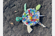 ‘쓰레기 줍기’로 바다도 구하고 신나는 여름 즐겨요…‘세이브제주바다’ 이야기[강은지의 반짝반짝 우리별]
