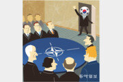 O status da Coréia como participante da cúpula da OTAN[알파고 시나씨 한국 블로그]