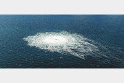“러, 가스관 이어 해저 광케이블 파손할 가능성”