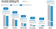 5개 완성차, 상반기에 20만대 덜 팔려…해외 판매 부진