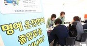 고령 운전면허 반납 작년 1만2000명…고령운전자 비율도 증가