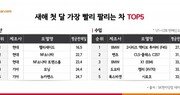 팰리세이드, 1월 중고차 시장서 평균 16.5일 만에 거래