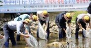 한국타이어, 멸종위기종 1종 ‘감돌고기’ 방류