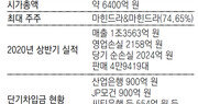 年매출 250억원 회사가 쌍용차에 3000억원 투자?