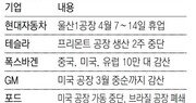 꼬리가 머리 흔드는 ‘車반도체 대란’… “미래차 전환기 일시 정체”